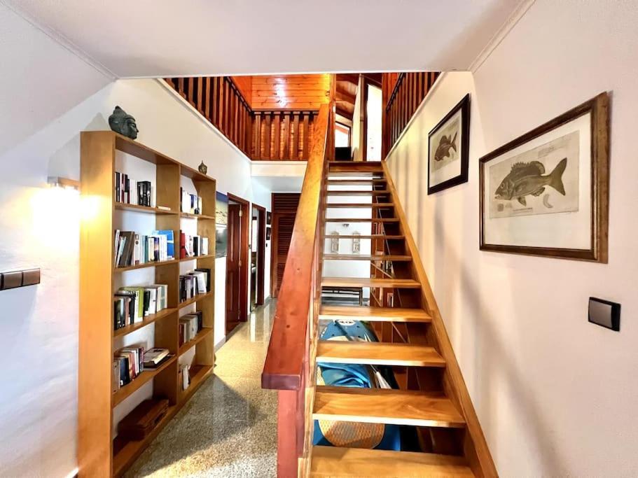 Hilltop South - Villa Bougainville Takamaka Extérieur photo