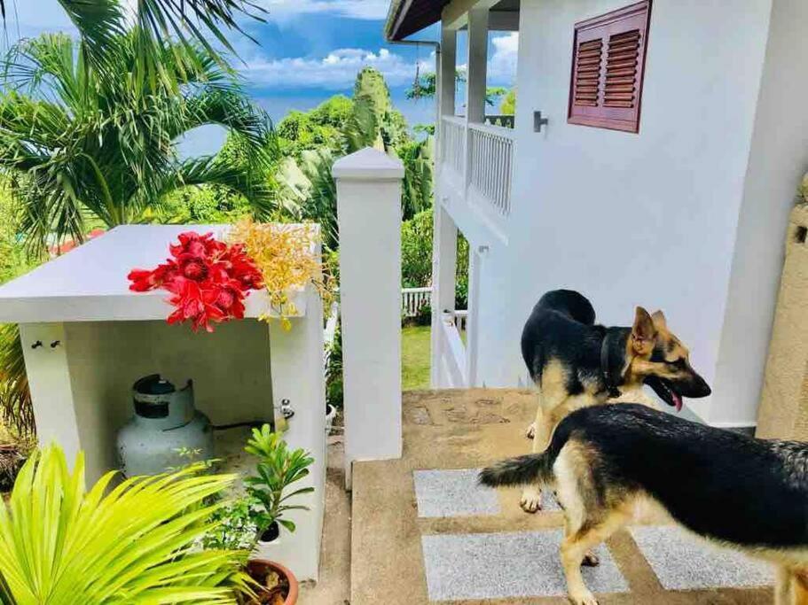 Hilltop South - Villa Bougainville Takamaka Extérieur photo
